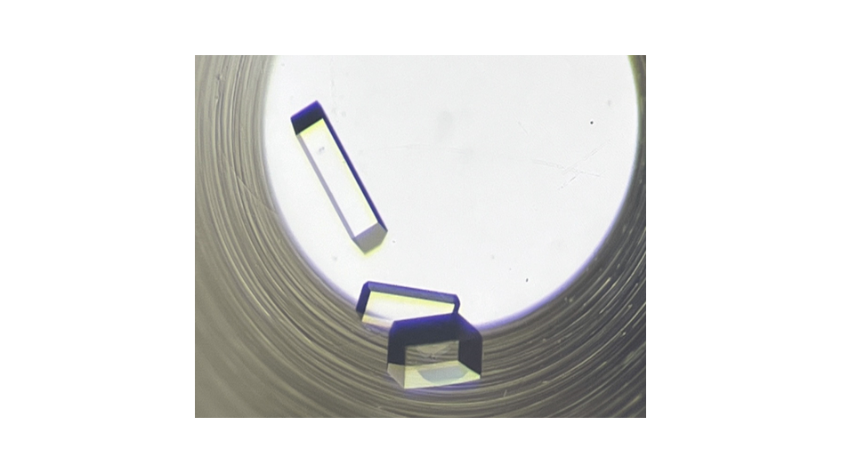 Small Molecule and Inorganic crystallization with Oryx